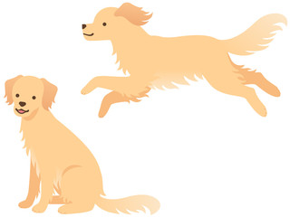 手描き風タッチの犬と猫のイラスト ゴールデン レトリバー 雑種キジトラ Wall Mural Nora Hachio