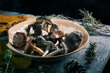 spanish edible mushrooms on a table