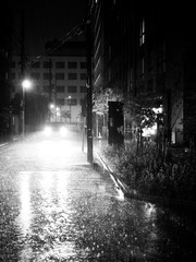 Rue de Kyoto dans la lumières des néons la nuit