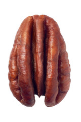 Pecan nut isolated on white background