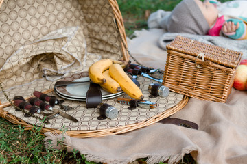 gardening tools in basket
