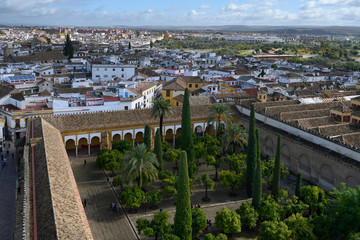 Elevated view of courtyard of Mosque of Cordoba, Andalusia, Spain
