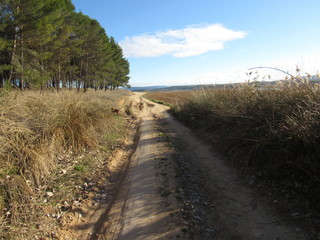 paisaje natural tierra cielo rustico agua camino