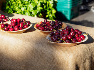 Wide closeup of multiple plates of freshly-picked wild black cherries for sale on plates at an outdoors market. London, United Kingdom. Travel and local fruits. - 310449720