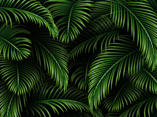 Naklejka na ściany i meble Tropical palm leaves background. Exotic dark green template for greetings, invitation, cosmetics or spa products, summer seasonal cards. Vector.