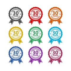 Thirty years experience color icon set isolated on white background