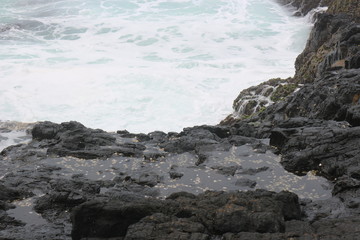 the rocks at the seashore that just hit by the waves