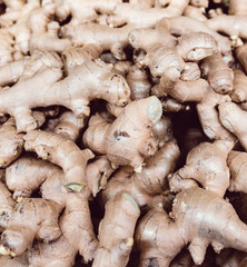 Ginger at the street market