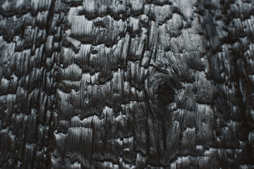 Charred wooden wall.