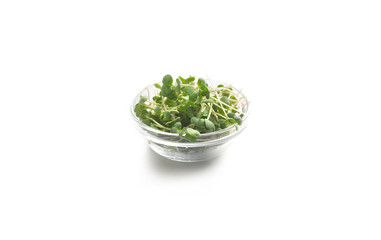 Healthy microgreens in glass plate isolated on white background