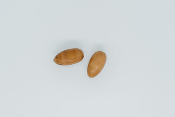 Two acorns on a light background close-up