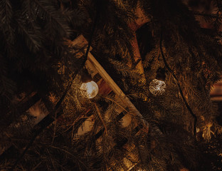 cozy lamp light in the dark