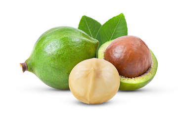 Obraz na płótnie Canvas macadamia nuts with leaf isolated on white background