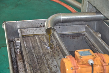 Spanish olive oil process in factory