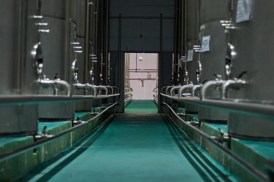 Spanish olive oil process in factory