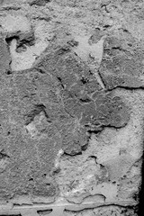 Concrete cracked wall background texture wallpaper in black and white.