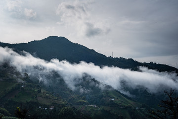 Paisaje Cultural Cafetero, agricultura y campo colombiano, siembra de café y productos agricolas en Chinchiná Caldas Colombia