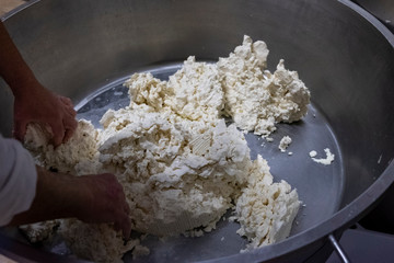 Artisan process of mozzarella cheese production in Italy