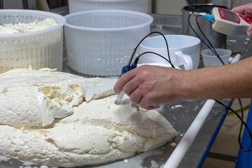Artisan process of mozzarella cheese production in Italy