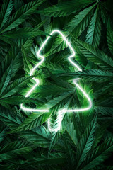 Creative fluorescent Christmas background mockup of hemp leaves, marijuana and Christmas tree neon...