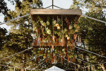 hanging flowers in garden