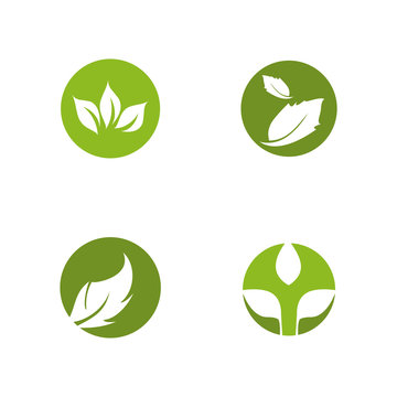 Green leaf icon logo design vector illustration template