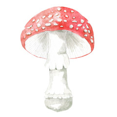 Watercolor toxic mushroom