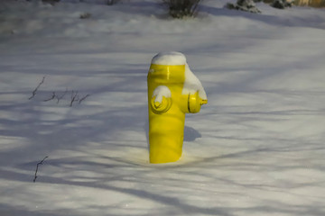 Yellow Fire Hydrant in Fresh Snow