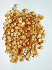 Corn kernels on a white background