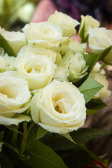 Close-up shot of rose in full bloom.