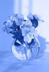 Delicate flower in vase in classic blue color