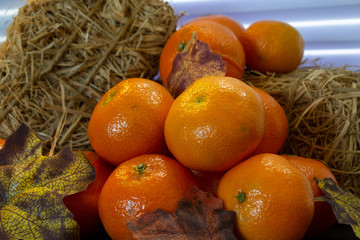 Mandarins with hay and autumn foliage as decoration