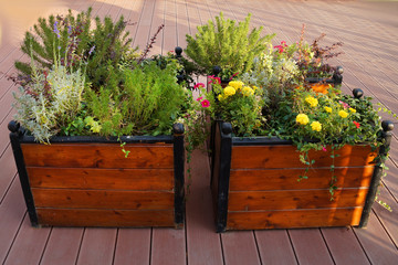 flowers in a wooden planter outdoors - obrazy, fototapety, plakaty