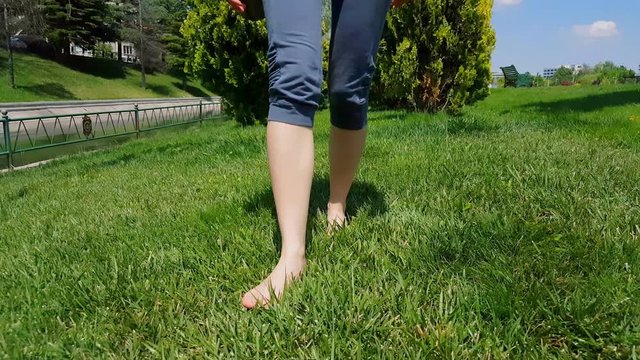 Front view of woman legs in blue tights walking slowly on barefoot on green grass in a park 