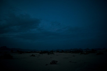 desert pray © Sami