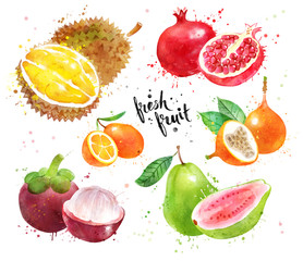 Watercolor set of exotic fruit