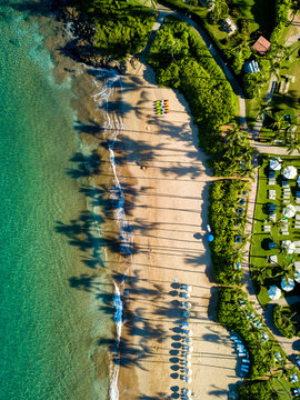 Drone top down view of a beach with water sport activities and palm tree shadows on the island of Maui, Wailea, Hawaii. Picture taken in portrait, vertical orientation.