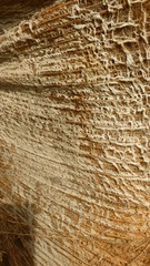 texture of straw