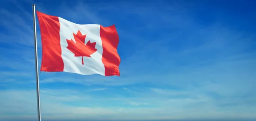 Foto op Plexiglas The National flag of Canada © Feydzhet Shabanov