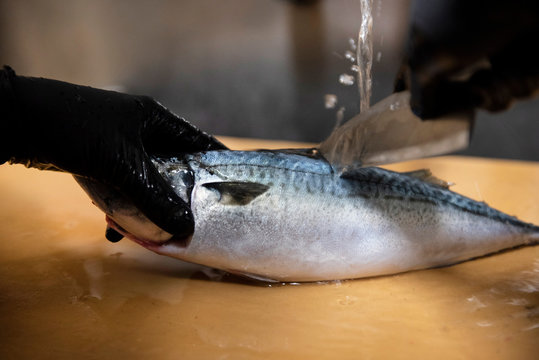 Chef cleaning Ma Saba Mackerel fish