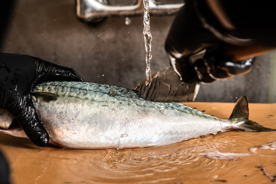 Chef cleaning Ma Saba Mackerel fish