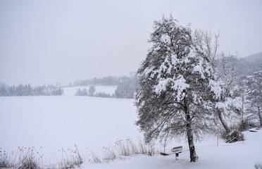 Frozen snow covered lake in Austria in Winter