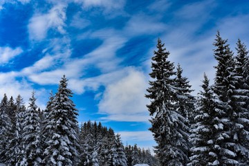 Winter landscape in South Austria Carinthia
