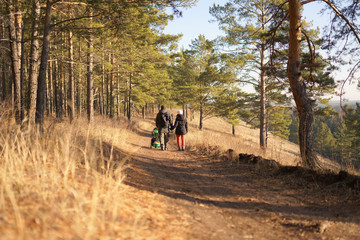 Fototapeta premium happy family walking on country road 