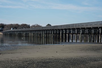 wooden bridge over bay