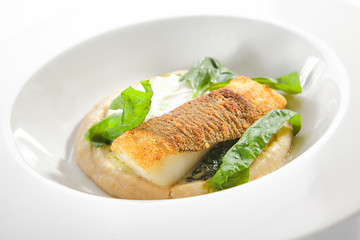 Breaded Fried Halibut Fillet with Parsnip Puree Isolated