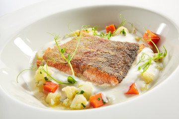 Trout Fillet in Cream Sauce with Vegetable Stew Isolated