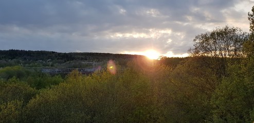 Cloudy sunset high up at the tree tops in Sweden