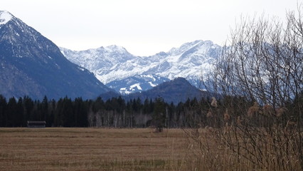 Murnauer Moos in den Alpen b ei Garmisch Partenkirchen im winter