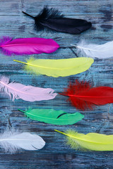 Background texture of a blue wooden surface with multi-colored feathers of birds. Painted feathers of birds on a wooden surface. Vertical, top view, cropped shot.